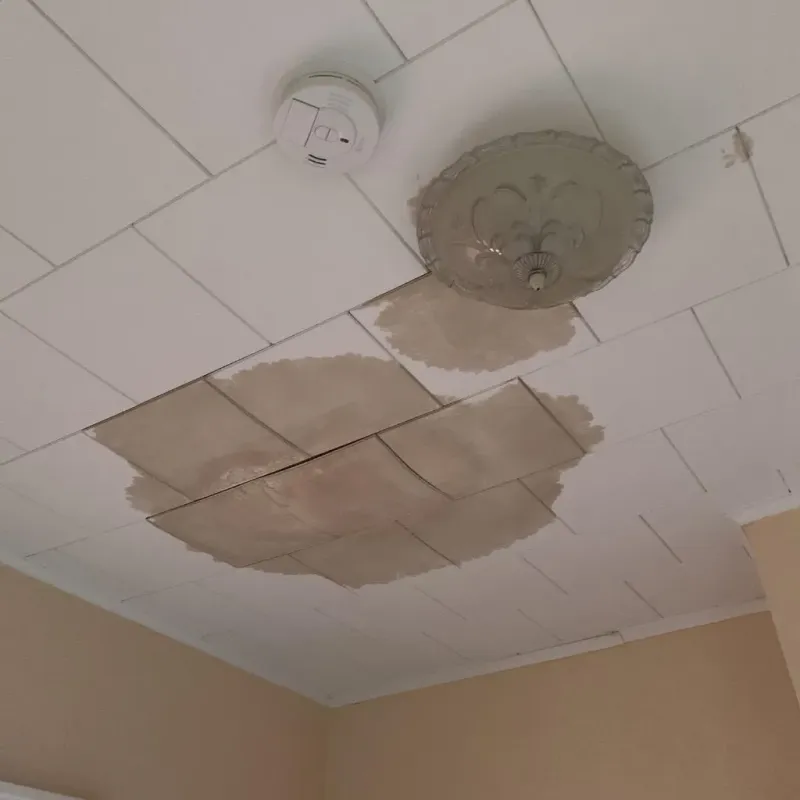 Ceiling Water Damage Repair in Satanta, KS