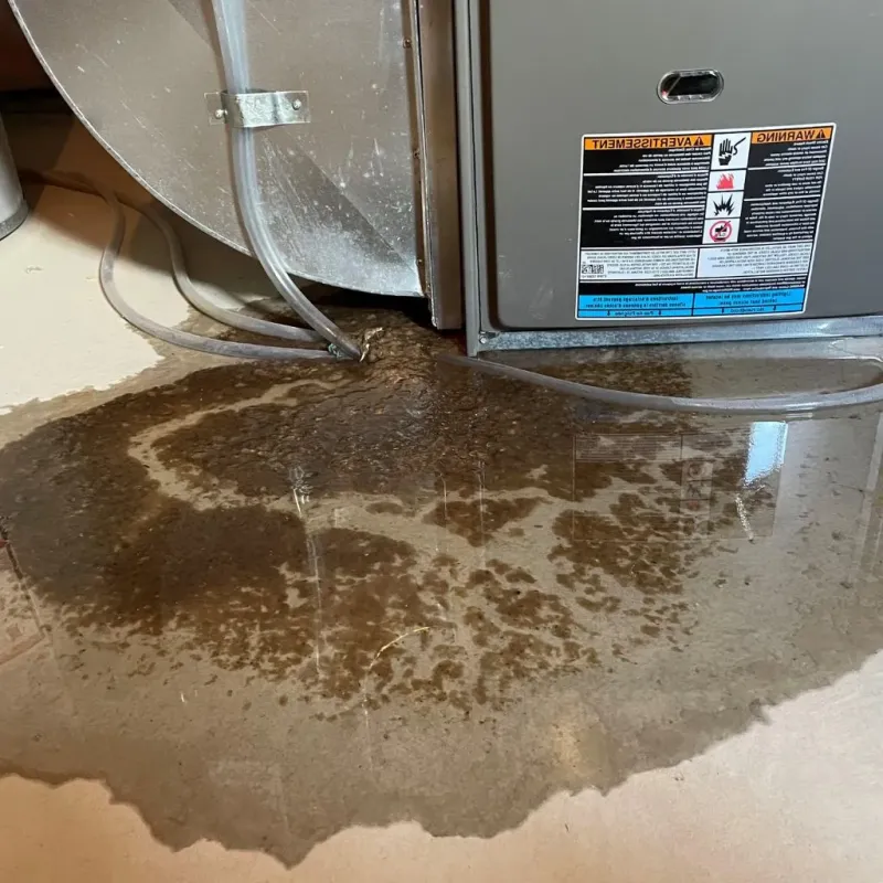 Pipe Burst and Leak Restoration in Satanta, KS