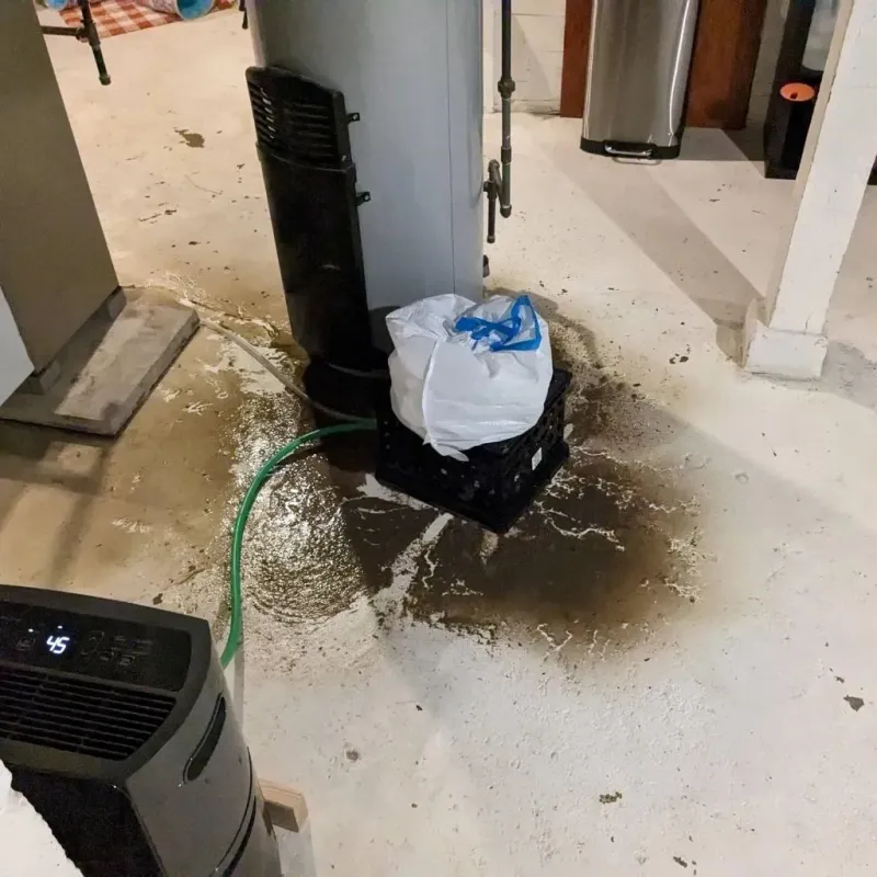 Sewage Backup Cleanup Service in Satanta, KS